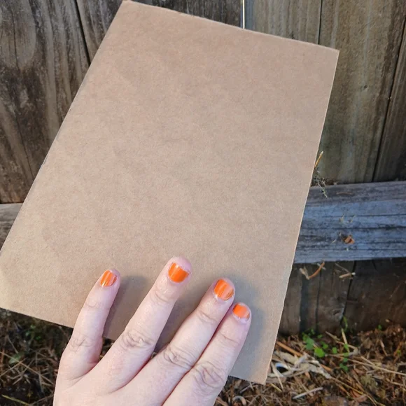 Puffin Painting On Cardboard - Picture 7 of 12